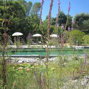 la-villa-les-hesperides.fr-provencehotel.com/